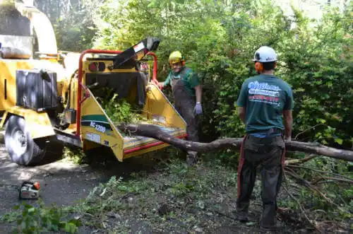 tree services Blakely